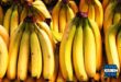 Update Harga Pisang Lokal Impor Terbaru Minggu Ini Lengkap per Sisir